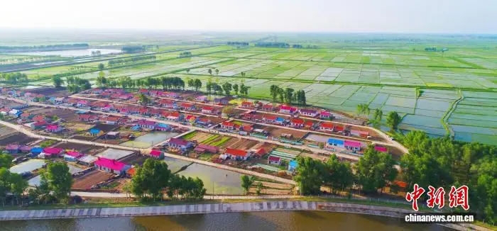 嫩江边上的“拓荒者”:38载接力把“不毛地”变“米粮川”