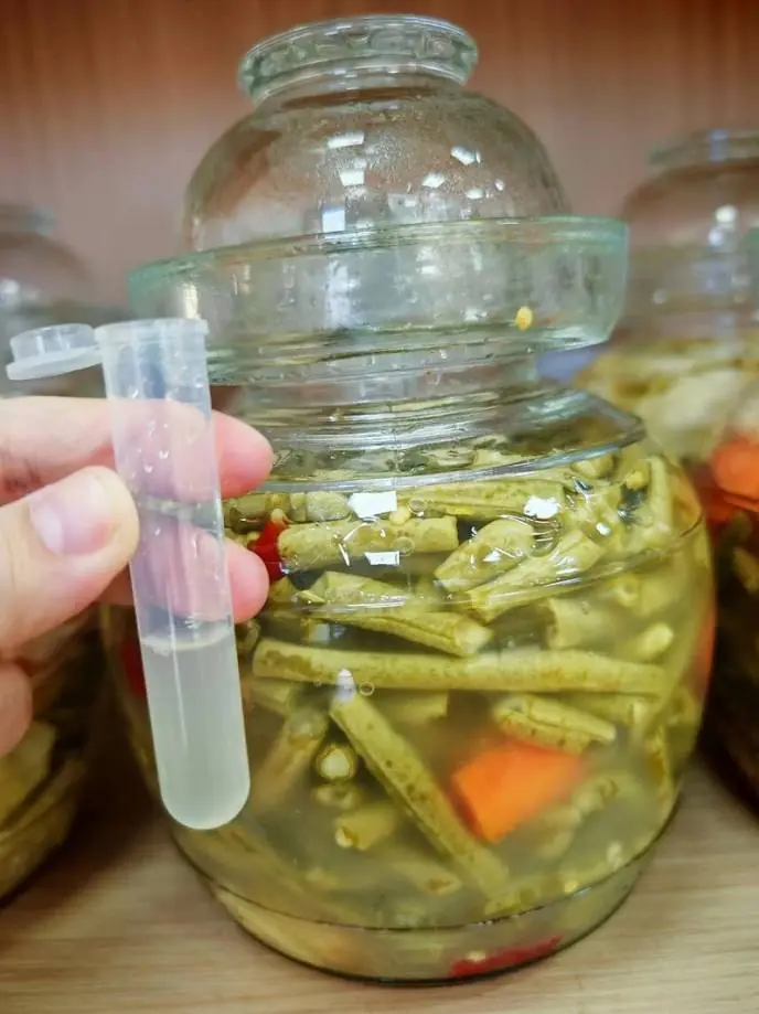 多吃泡菜好处多多!韩国专家:泡菜可助人体排出微塑料