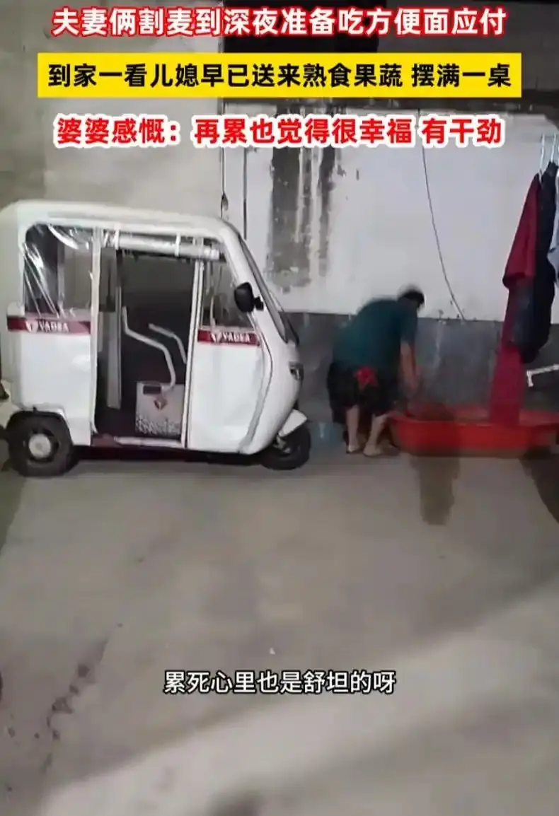 累死心里也舒坦!夫妻半夜割麦回家 儿媳早已备好饭菜