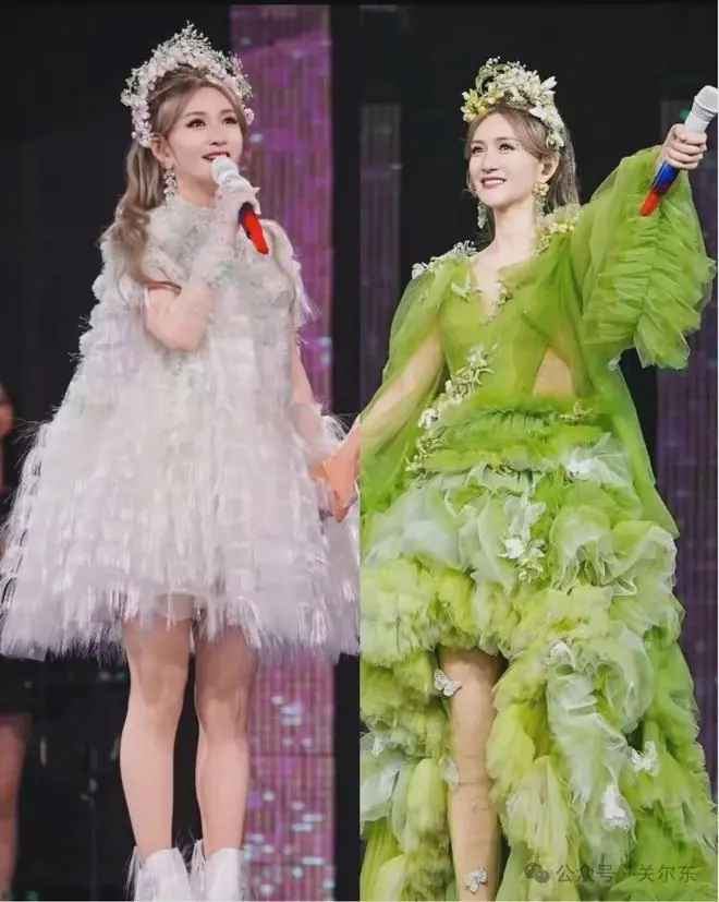 聊聊谢娜北京演唱会取消这事