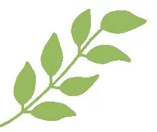 《扁豆爱焖面》开播!离婚一时爽,复婚火葬场 朱雨辰高露上演极限拉扯