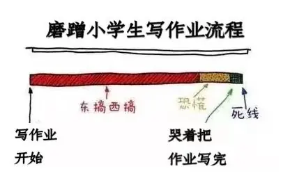 别再催孩子了!脑科学家提醒:你把孩子的前额叶催“废”了,却怪他不自律