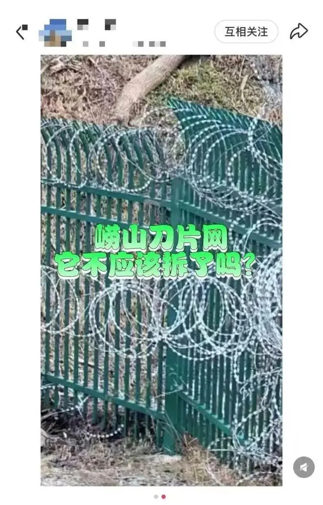 青岛崂山被曝布设泰山同款“刀片网”,景区:设于高山非开放区域,普通游客难抵达