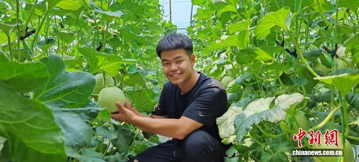 山西“00后”体育教练跨界种瓜:一部手机玩转智慧农业