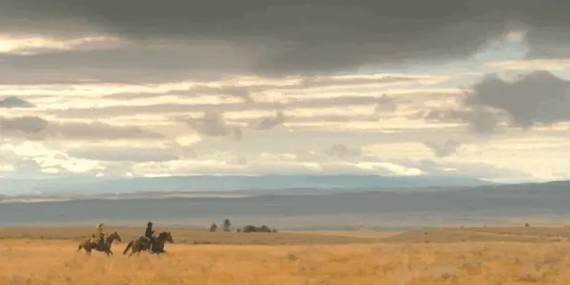 全集上线,这部新剧又杀疯了