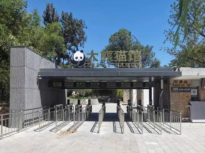 北京动物园大熊猫新馆长啥样儿?北青报记者揭秘