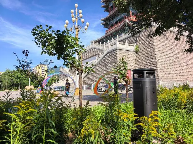 北京首个“无蚊害公园”试点落地门头沟,单日捕捉蚊虫2万余只